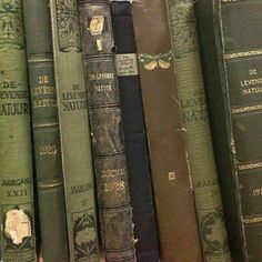 a row of old books sitting on top of a wooden book shelf next to each other