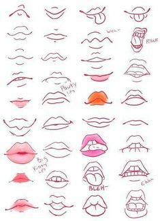 a bunch of different types of lips