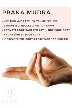 Mudras Meanings, Prana Mudra, Healing Reflexology, Manipura Chakra, Chakra Health, Yoga Facts, Yoga Hands, Healing Yoga, Yoga Mantras