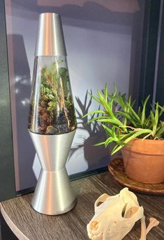 a silver vase filled with plants on top of a wooden table next to a potted plant