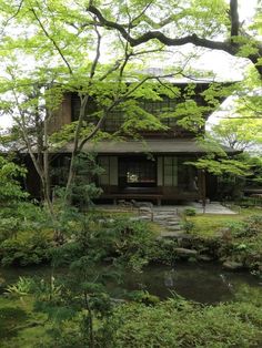 a small house sitting next to a river in a forest with lots of green trees