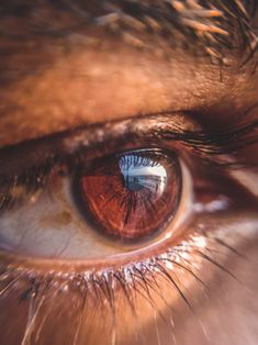 a close up view of an eye with the reflection of a building in it's iris