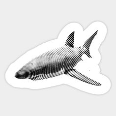 a black and white drawing of a shark sticker on a gray background with lines