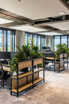 an office with plants and desks in the foreground, large windows on both sides