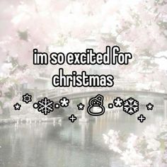 i'm so excited for christmas with snowflakes on the water and trees