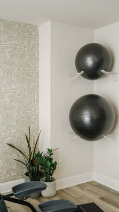 there are two exercise balls hanging on the wall next to a potted houseplant