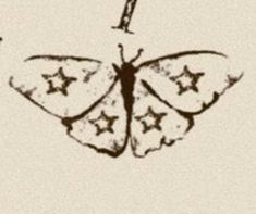 a drawing of a butterfly with stars on it's wings