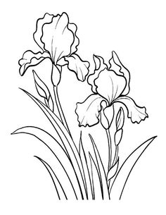 a black and white drawing of flowers with long stems on the top, in front of grass