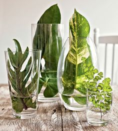 three vases with plants in them sitting on a wooden table next to each other