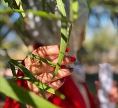 a woman in a red dress is holding some green leaves