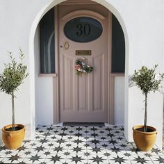 two potted plants sit in front of a door with the number 30 on it