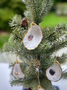 an ornament is hanging from a pine tree