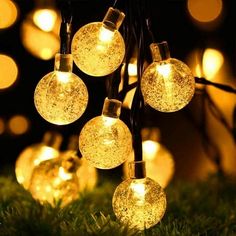 christmas lights are hanging from a tree in the grass, with small white balls on them