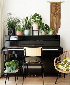 a black piano sitting in front of a window with potted plants on top of it