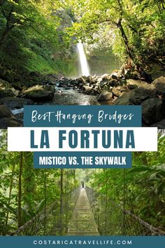 Embark on an adventure through the lush rainforest canopy of La Fortuna and discover the breathtaking beauty of its hanging bridges. Get ready for an unforgettable journey filled with adrenaline and stunning vistas!" Rainforest Canopy, Sky Adventure, Arenal Volcano, Entrance Gates, In Depth