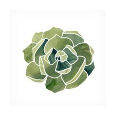 a painting of a green flower with leaves on the petals, in watercolor and ink