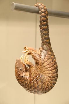 a stuffed animal hanging from a metal bar in the shape of a slotty bear