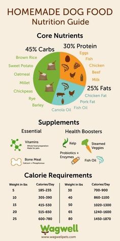 an info sheet with different types of food