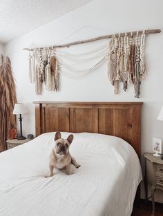 a small dog sitting on top of a white bed