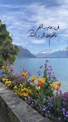 flowers are blooming along the edge of a wall near water with mountains in the background