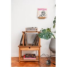 a record player sitting on top of a wooden shelf next to a potted plant