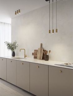 a kitchen with white walls and wooden flooring next to a plant on the counter