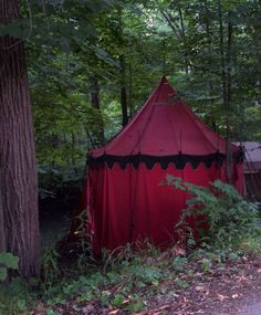 a red and black tent in the woods next to a tree with leaves on it