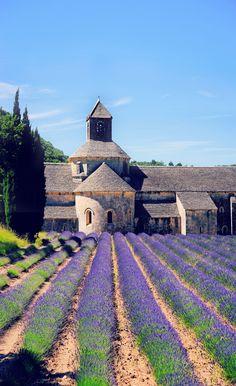 an old building surrounded by lavender fields and trees