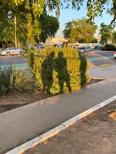 a parking lot with cars parked on the side of it and trees in the background