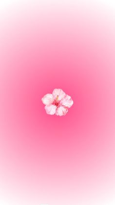 a pink flower is floating in the air