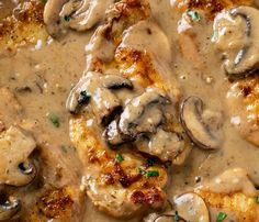 chicken with mushrooms and gravy in a white sauce