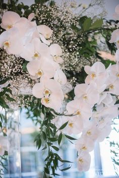 white orchids and baby's breath in a clear vase