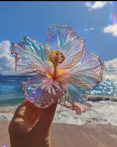 a hand holding up a flower on the beach