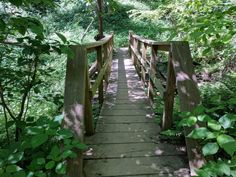 a wooden bridge in the middle of a forest