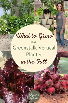 what to grow in a greenstak vertical planter in the fall