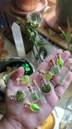 a person holding some tiny plants in their palm with little stickers attached to them