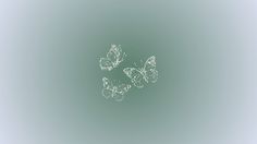 two butterflies flying in the sky on a foggy day