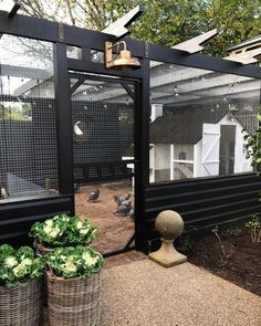 a chicken coop with two chickens in it and some potted plants next to it