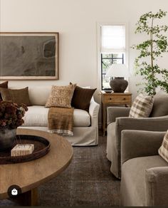 a living room filled with furniture and a potted plant on top of a table