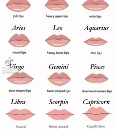 Different Lips Types, Types Of Lips Shape, Zodiac Sign Lips, Types Of Lips, Eye Shape Chart, Makeup For Downturned Eyes, Lip Types, Skin Tone Makeup, Shape Chart