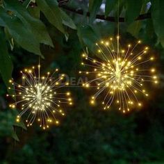 two firework lights hanging from a tree branch in the night time with green leaves