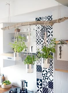 some plants are hanging from the ceiling in a kitchen with black and white tiles on the walls