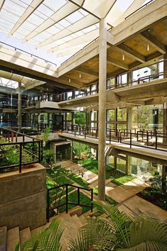 the inside of a building with plants growing in it