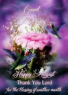 a pink flower and two hummings on a purple background with the words good morning happy august thank you lord for the blessing of another month