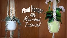 plant hanger macrame with flowers and plants hanging from it