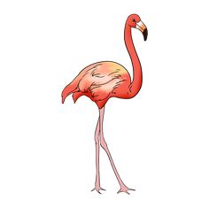 a pink flamingo standing on one leg with its head turned to the side and it's legs crossed