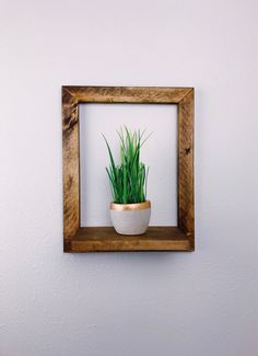 a potted plant in a wooden frame mounted on a white wall above a shelf