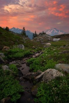 a small stream running through a lush green field with mountains in the background at sunset