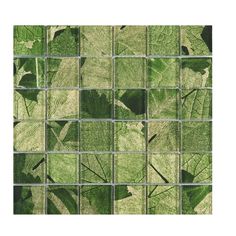 green leaves are arranged in the shape of squares on a glass tile backsplash