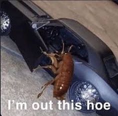 a bug crawling out of the side of a car with text that reads, i'm out this noe